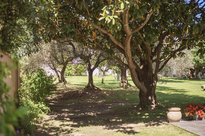 Villa - 135 m² - 4 pièces