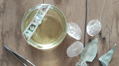 Atelier Création de Bougies avec des Fleurs Séchées