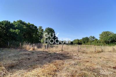 Maison - 132 m² - 4 pièces