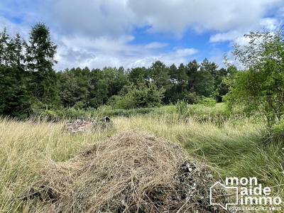Maison ancienne - 65 m² - 1 pièce