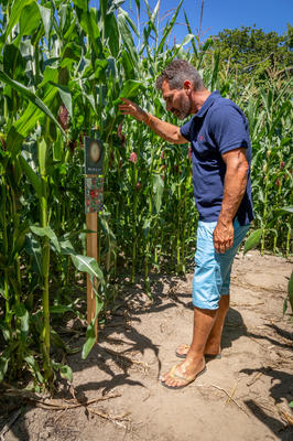 Pop Corn Labyrinthe Amiens
