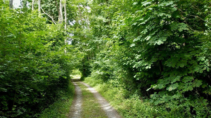 Château - 1 300 m² - 35 pièces