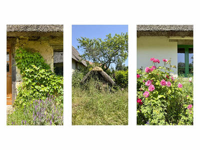 Maison - 231 m² - 15 pièces