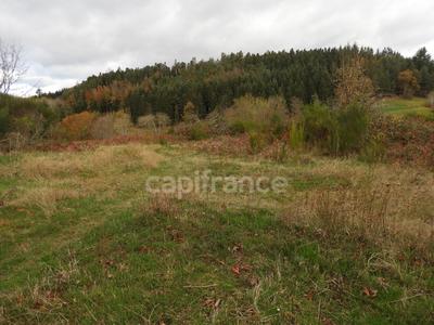 Maison de campagne - 175 m² - 6 pièces