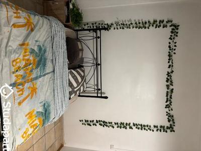 Chambre - 54 m² - 1 pièce