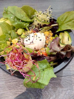 Les Cocottes en Picnic