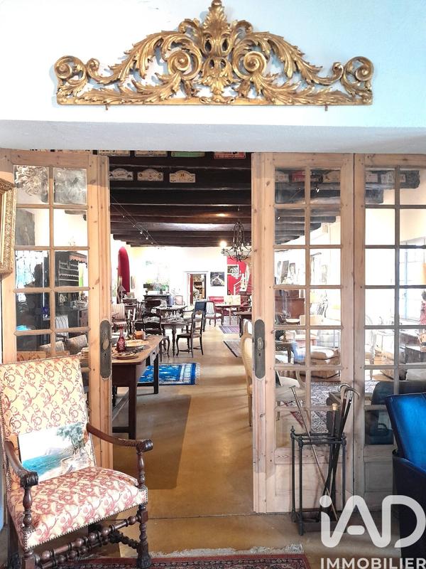 Maison - 500 m² - 11 pièces