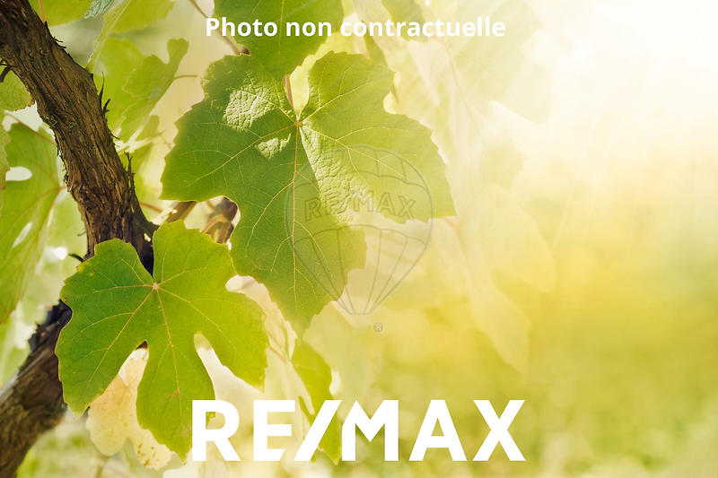 Terrain de loisirs - 5 000 m²