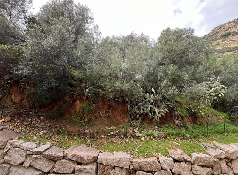 Studio - 21 m² - 1 pièce