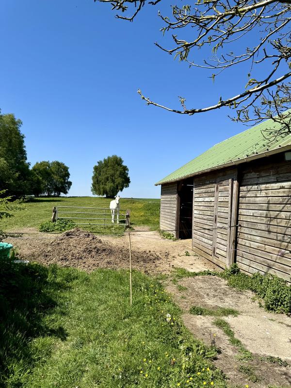 Maison traditionnelle - 141 m² - 6 pièces