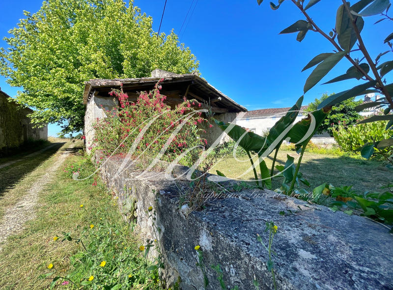 Maison de campagne - 430 m² - 10 pièces