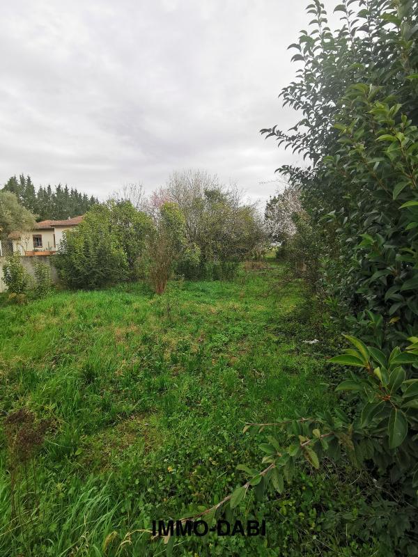 Terrain - 783 m²