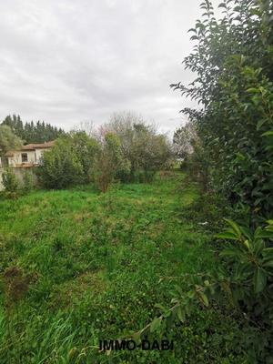 Terrain - 783 m²
