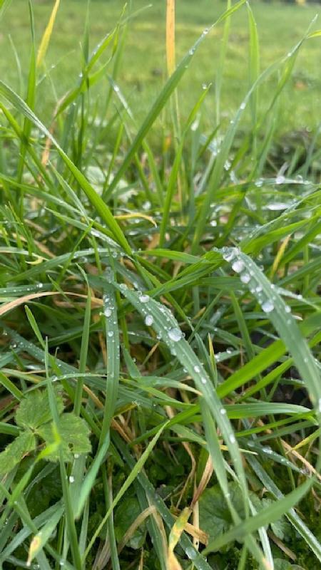 Terrain constructible - 235 m²