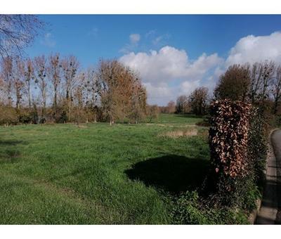 Terrain - 1 360 m²