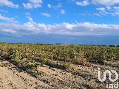 Terrain agricole - 29 000 m²