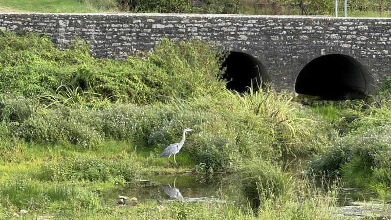 Maison - 42 m² - 3 pièces