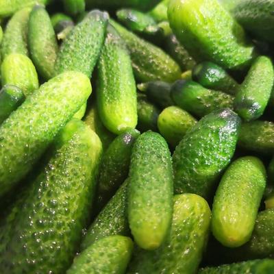 La Récolte des Gautier