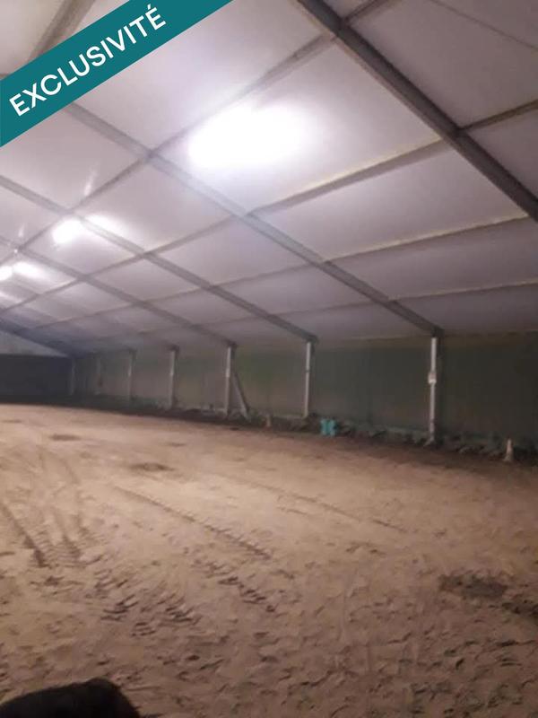 Maison - 335 m² - 14 pièces