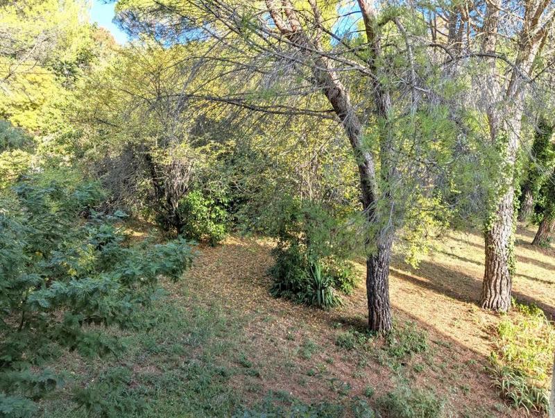 Appartement - 35 m² - 3 pièces