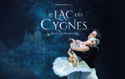 Spectacle : le lac des cygnes