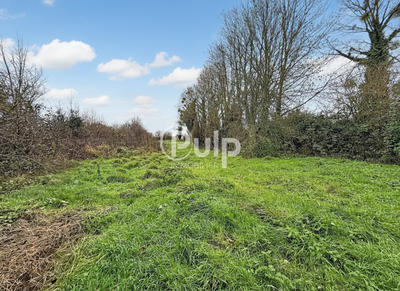 Maison - 226 m² - 10 pièces