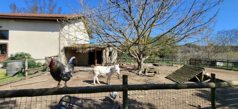 Propriété - 800 m²