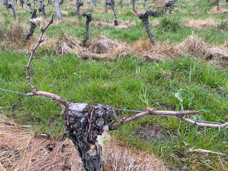 Maison - 313 m² - 8 pièces