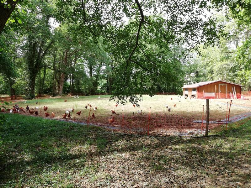 De ferme en ferme : Ferme des Luys