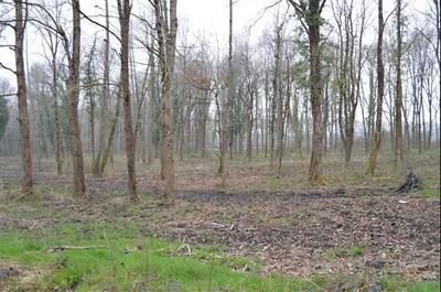 Terrain de loisirs - 22 000 m²