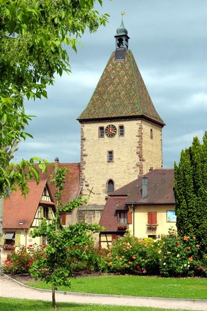 Visite commentée du Sentier viticole de Bergheim