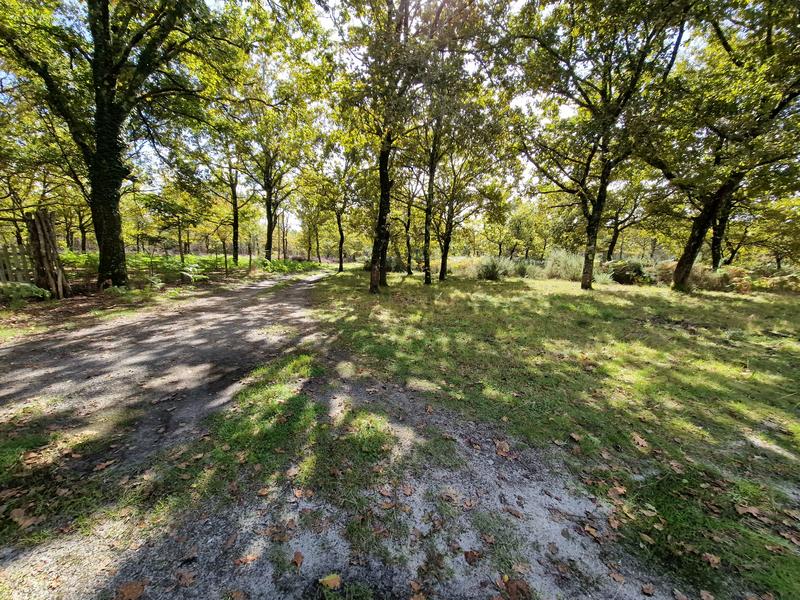 Maison - 200 m² - 7 pièces