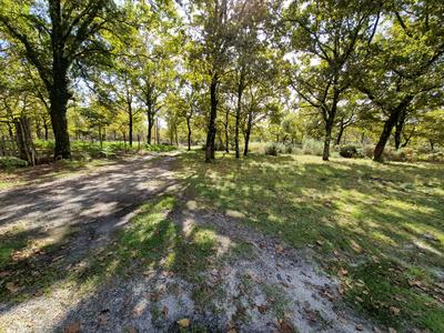 Maison - 200 m² - 7 pièces