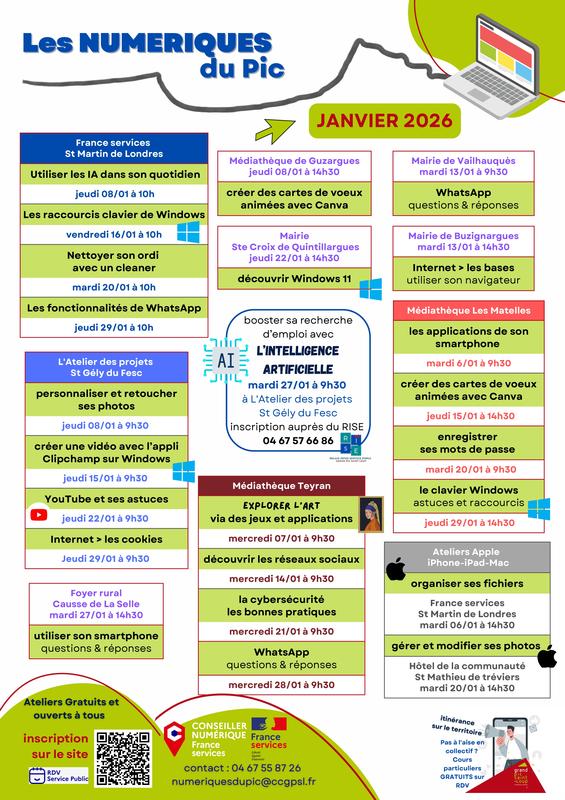 Les Numériques du Pic