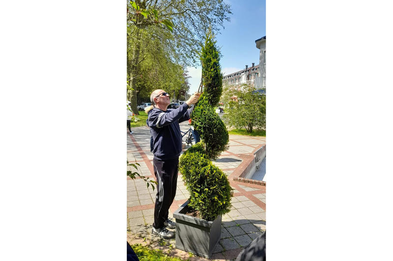 Journées Mondiales de la Topiaire