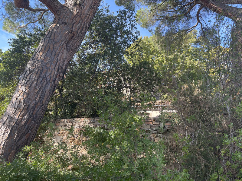 Propriété - 900 m² - 14 pièces