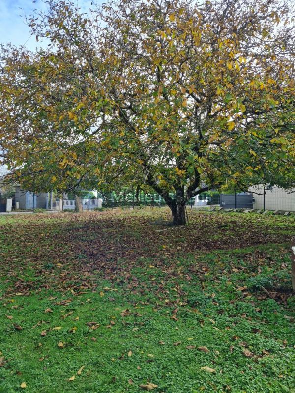 Maison - 148 m² - 6 pièces