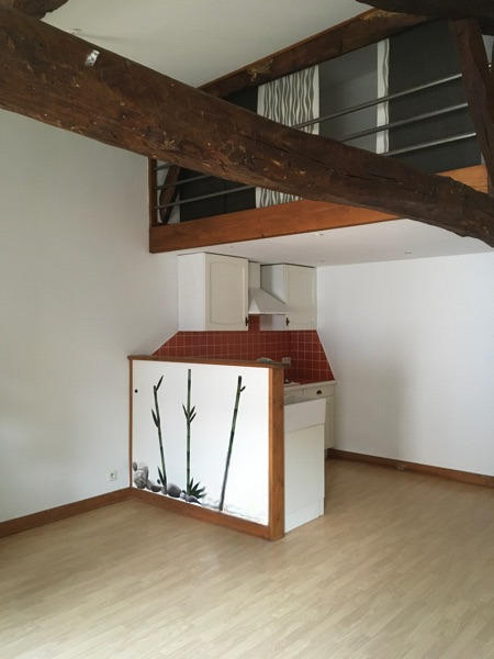 Duplex - 36 m² - 2 pièces