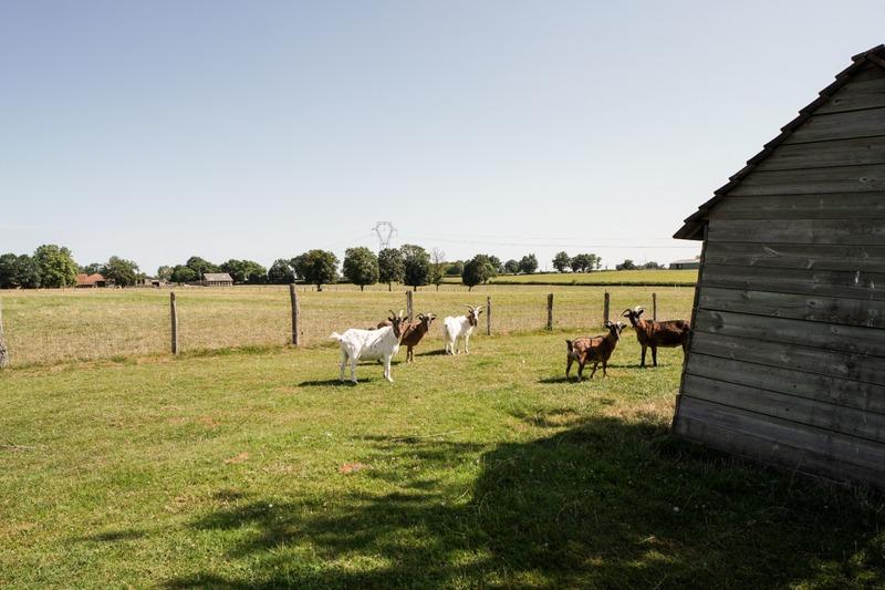 Haras - 352 m² - 8 pièces