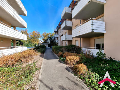 Appartement - 50 m² - 2 pièces