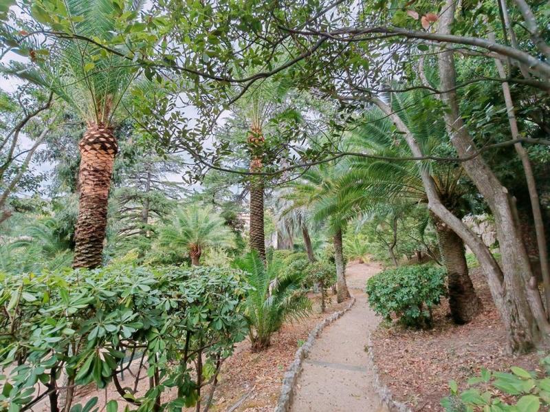 Appartement - 106 m² - 4 pièces