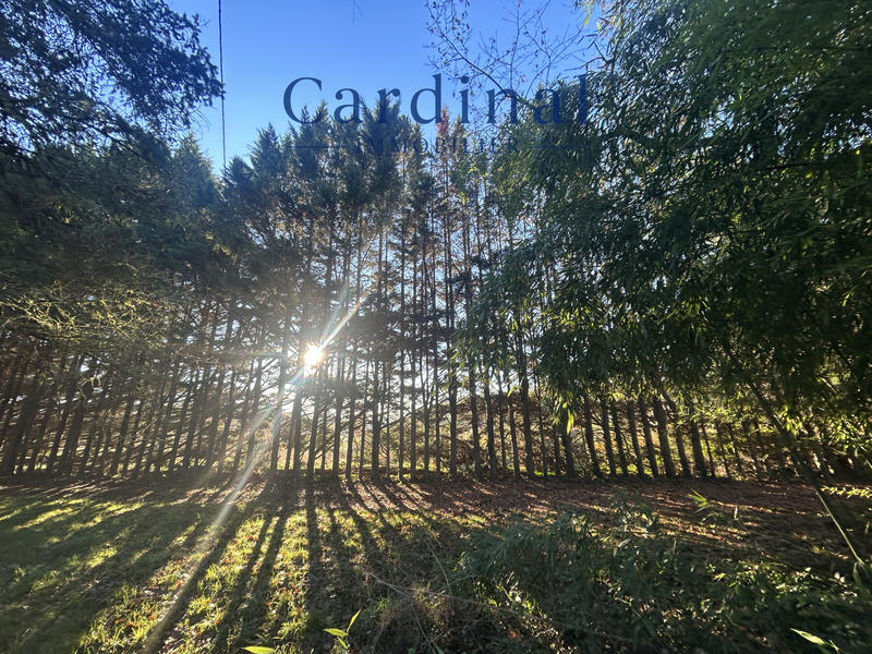 Villa - 98 m² - 5 pièces