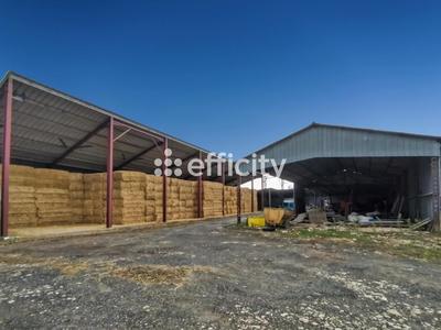 Maison - 159 m² - 6 pièces