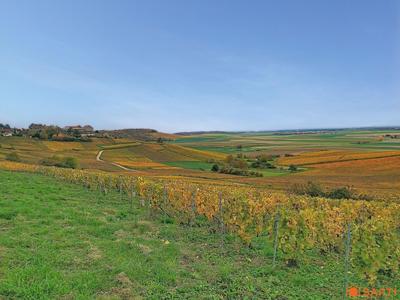 Maison - 301 m² - 10 pièces