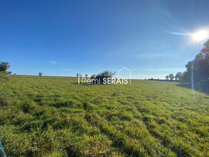 Terrain - 5 298 m²
