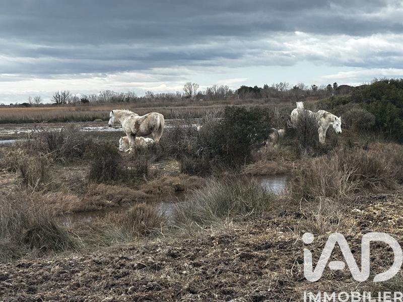 Appartement - 25 m² - 1 pièce