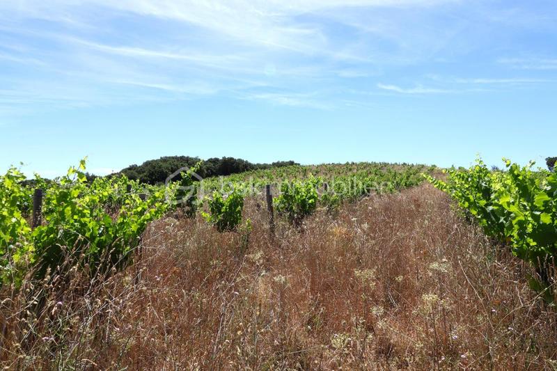 Terrain agricole - 54 432 m²