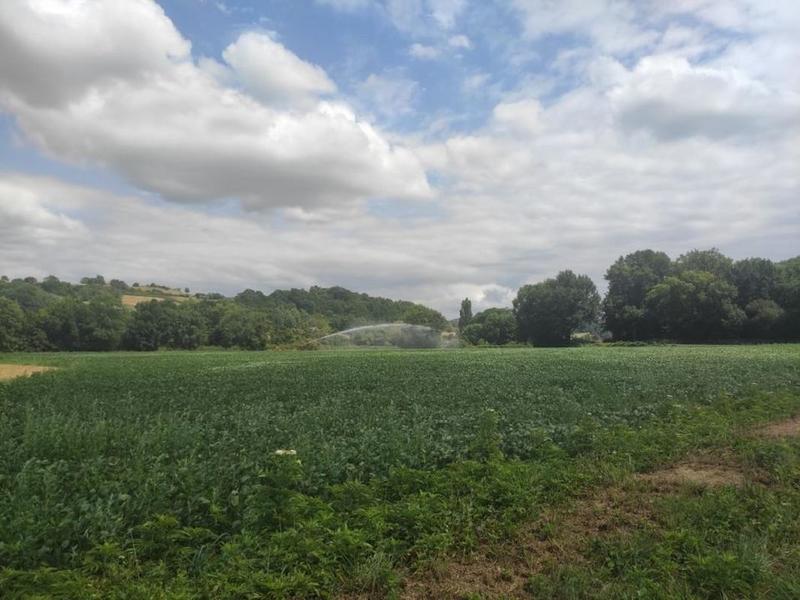 Terrain - 24 992 m²