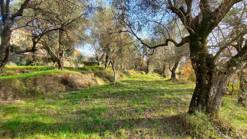 Terrain constructible - 2 800 m²