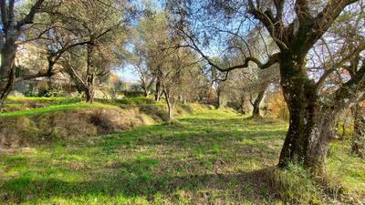 Terrain constructible - 2 800 m²